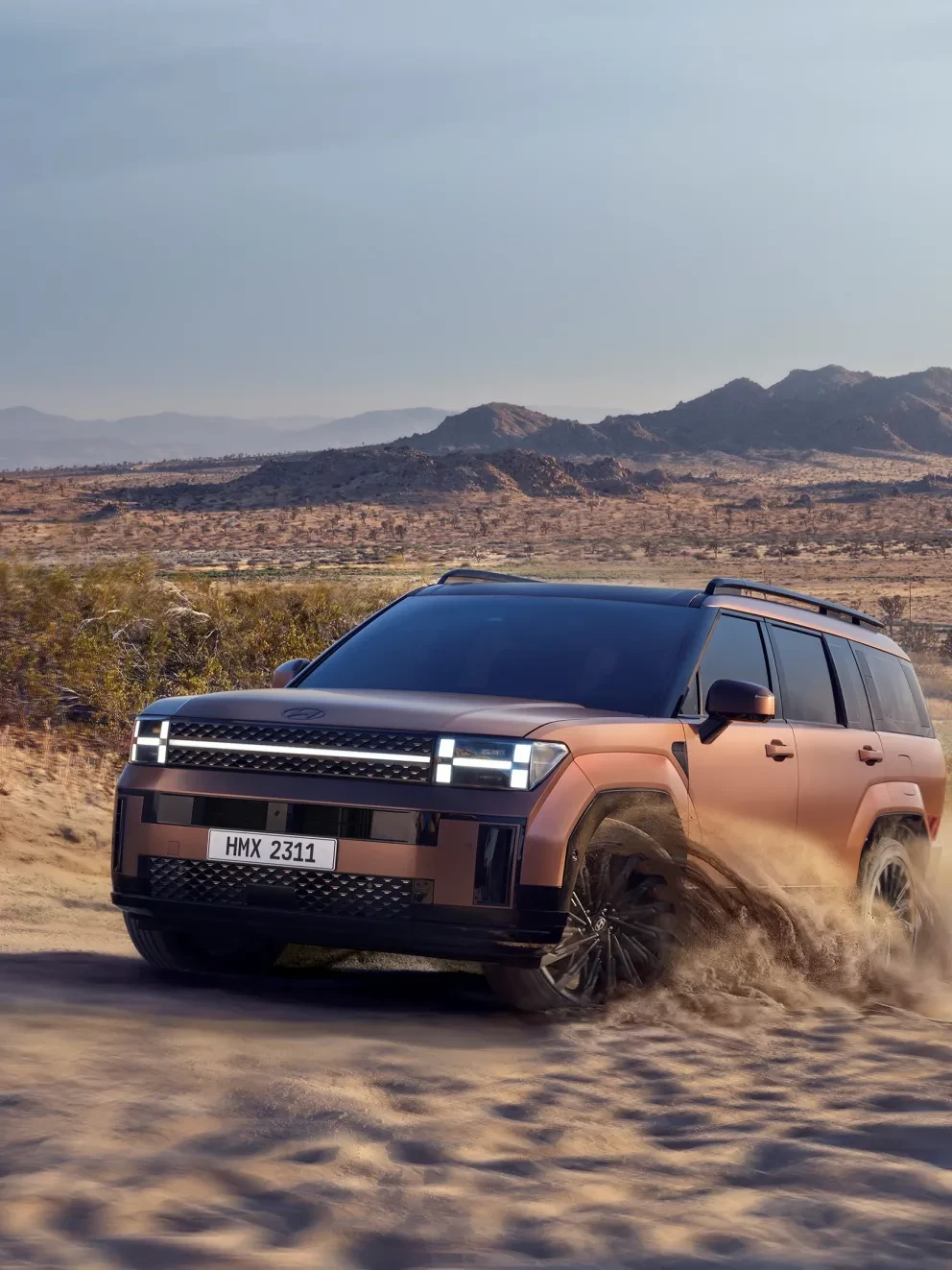 Hyundai Sante Fe Herwers