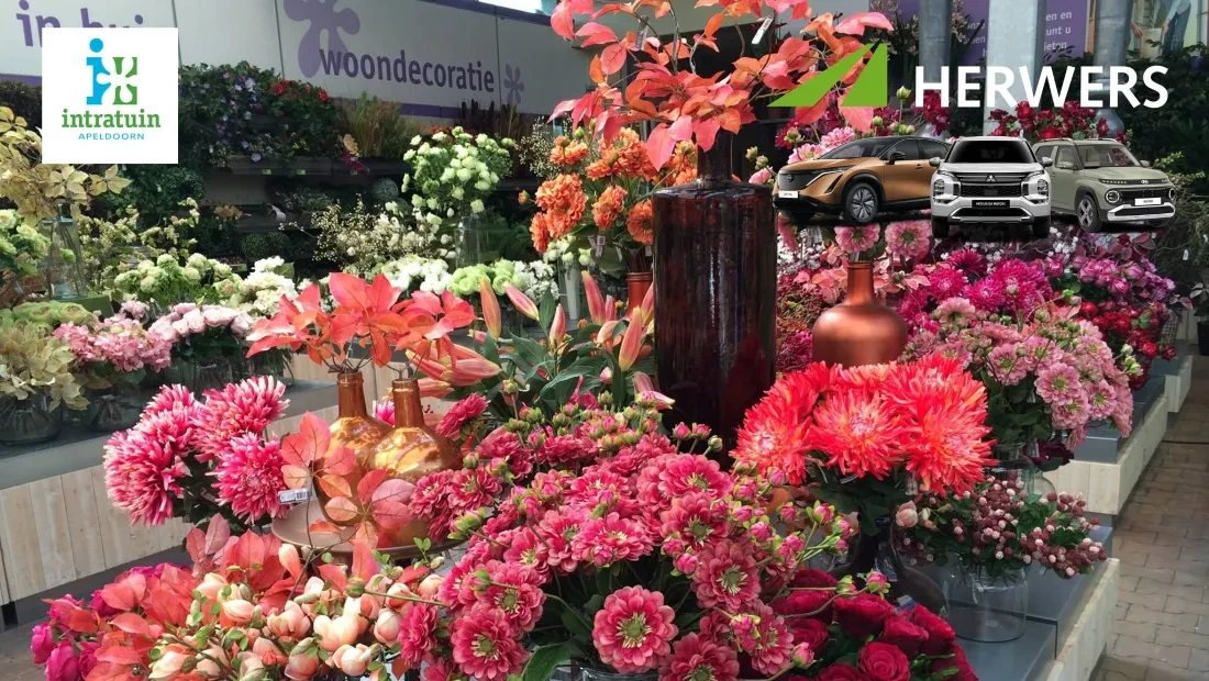 Intratuin bloemenactie Herwers